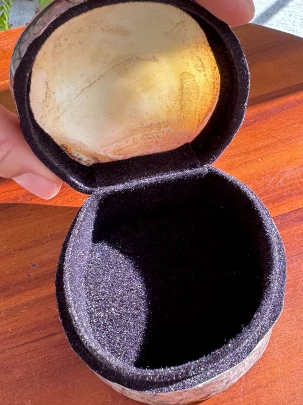 Abalone Shell Trinket Box – Iridescent Mosaic Jewellery Holder